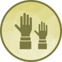 levantar la mano icon