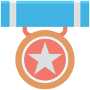 insignia de estrella 