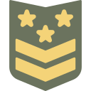 insignia icon