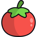 tomate icon