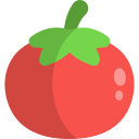 tomate icon