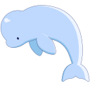 beluga 