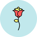 rosa icon