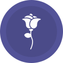 rosa icon