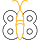 mariposa icon