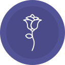 rosa icon