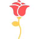 rosa icon