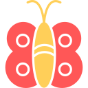 borboleta 