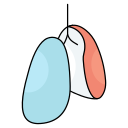 pulmones icon