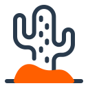 cactus icon