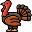 pavo icon