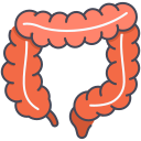 colon icon