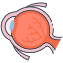 ojo icon