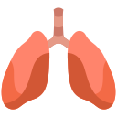 pulmones icon