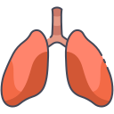 pulmones icon