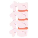 columna vertebral icon