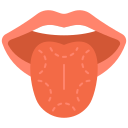 lengua icon