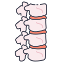 columna vertebral icon