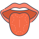 lengua icon