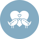 pájaros del amor icon