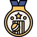 medalla icon