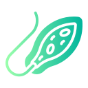 euglena icon