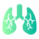 pulmones icon