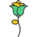 rosa icon