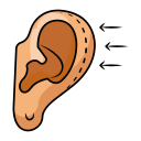 oreja icon