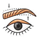 blefaroplastia icon