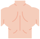 musculatura icon