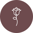 rosa icon