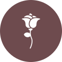 rosa icon