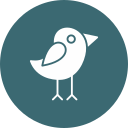 pájaro icon