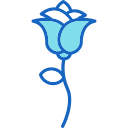 rosa icon