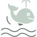 ballena icon