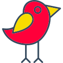 pájaro icon