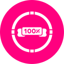 100 icon