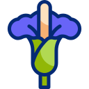 amorphophallus titanum icon