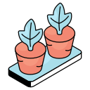 plantas icon