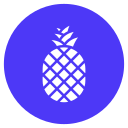 piña icon