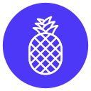 piña icon