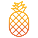 piña icon