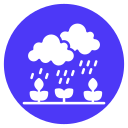 lluvia icon