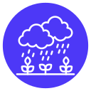 lluvia icon