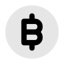 bitcoin icon