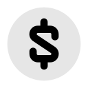 dólar icon