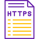 https icon