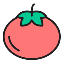 tomate icon