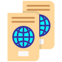 pasaporte icon